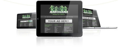 Contact Cannacliks Affiliate-afdeling - Affiliate Manager