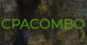 CPACOMBO Affiliate Department Contact - Affiliate Manager