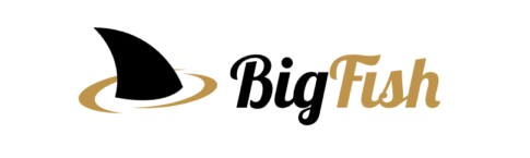 Contact Bigfish Partners Affiliate Department - Affiliate Manager