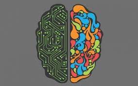 Contact Curiosando Affiliate Department - Affiliate Manager