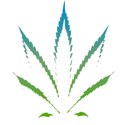 Matthew Pitts - Affiliate Manager