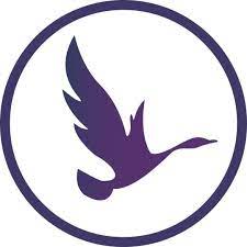 Contact OdinSchool Affiliate Department - Affiliate Manager