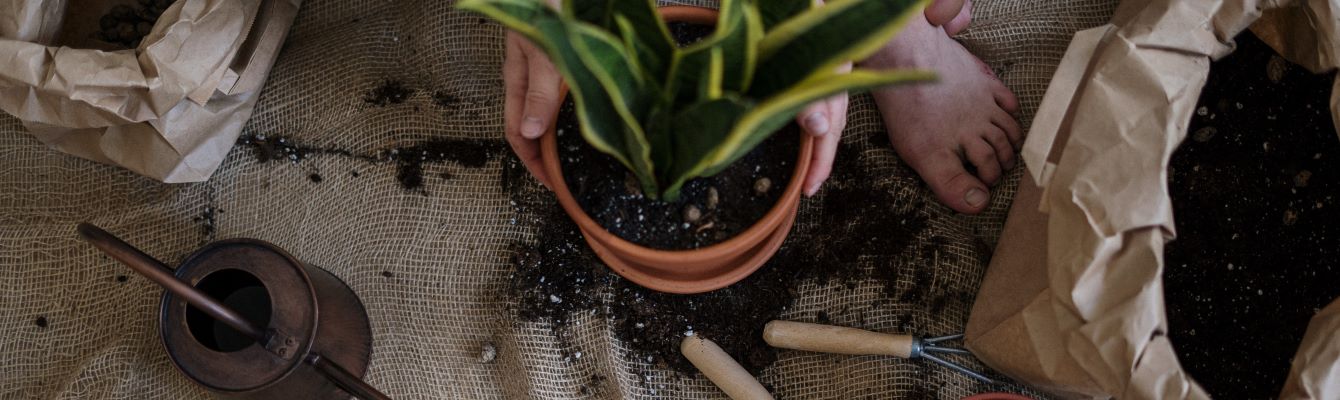 Waarom affiliate marketing gebruiken voor Home & Garden