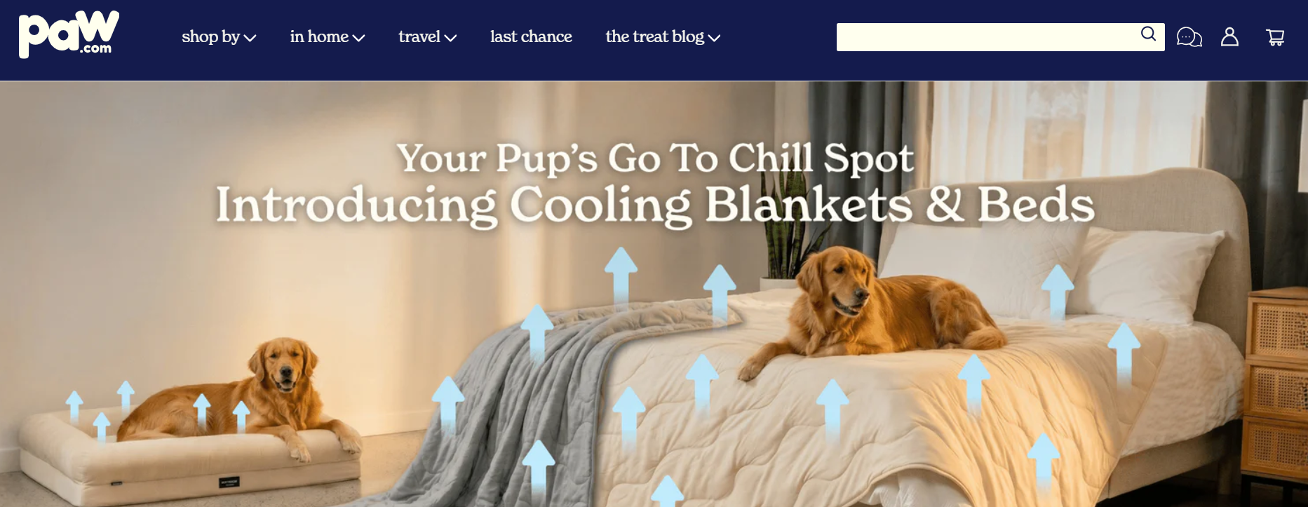 Paw website screenshot