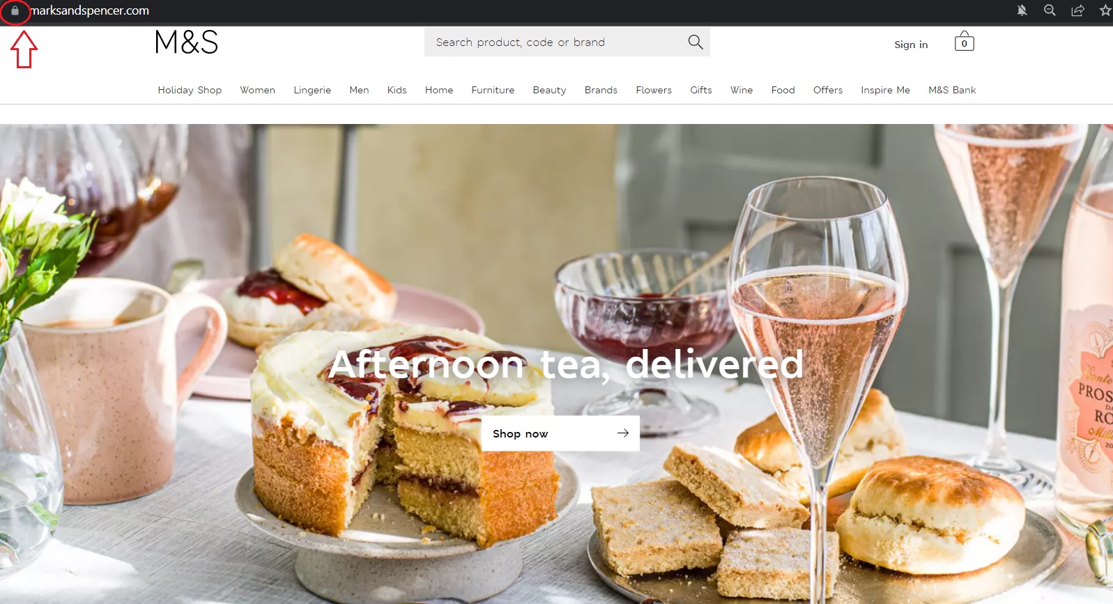 De rode lijn om het slotje bovenaan duidt op SSL-bescherming